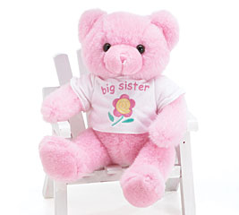 big-sister-bear.jpg