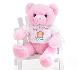 gbv-big-sister-bear.jpg