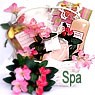 gbv-serenity-spa-basket-bat.jpg