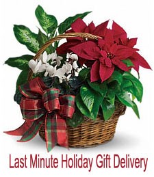 same-day-Christmas-holiday-gift-delivery.jpg