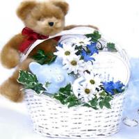 Bundle of Joy, Newborn Baby Gift Basket