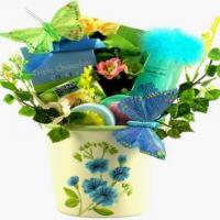 Showpiece Butterfly Spa Gift