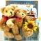 g-classic-teddy-bear.jpg