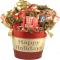 gbv-NEW-Christmas-holiday.jpg