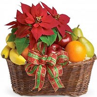 fruit baskets delivered today