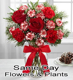 same day florist delivery