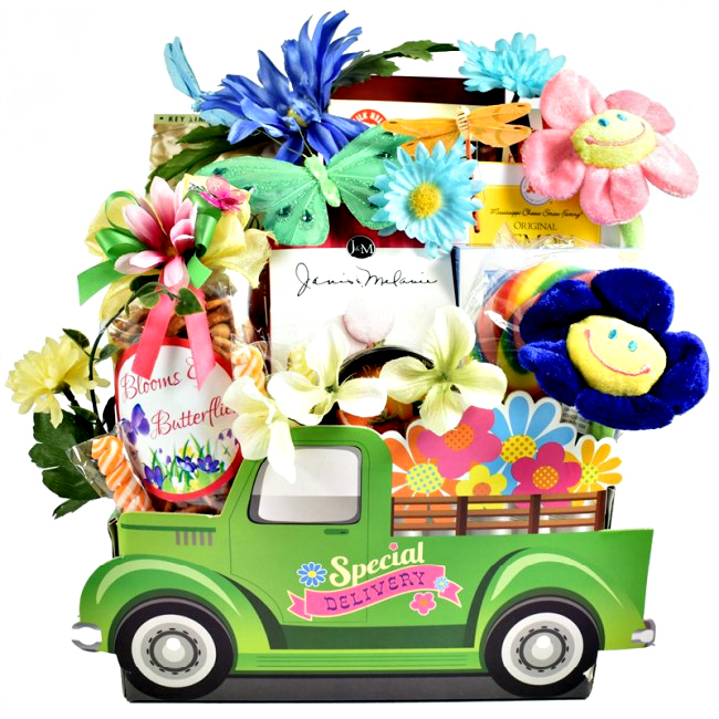 Gifts And Goodies, Special Delivery Gift Basket For Her