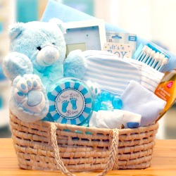 Blue Baby Boy Carrier Gift Basket