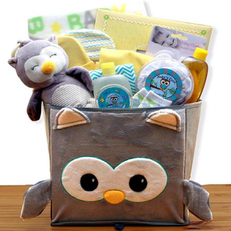 little hoot baby gift basket