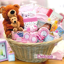 New Baby Girl Gift Basket Collection