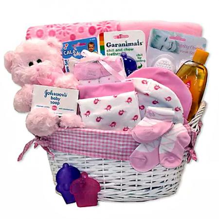 Simply basic baby girl gift basket