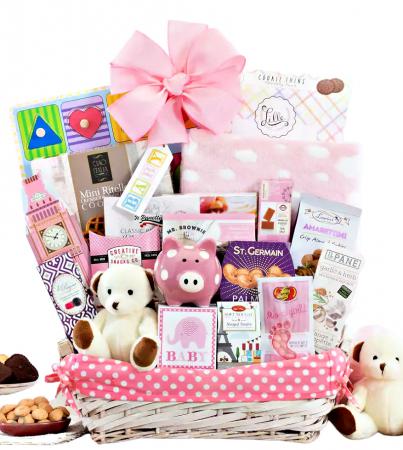 New Baby Girl Welcome Gift Basket