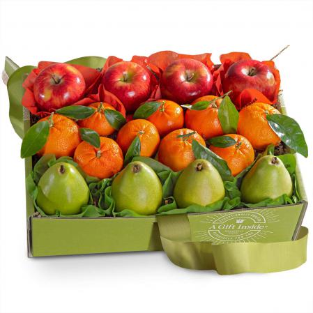 fruit gift boxes