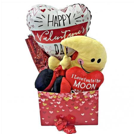 Love you to the moom=n and back valentine gift