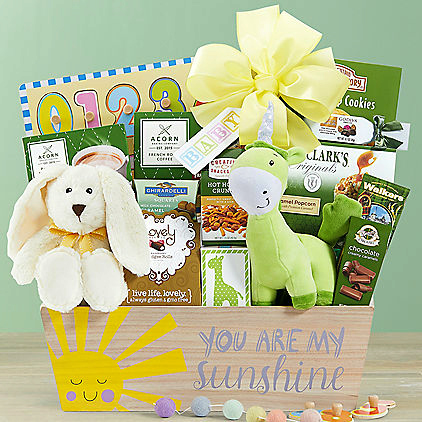 sunshine new baby gift basket