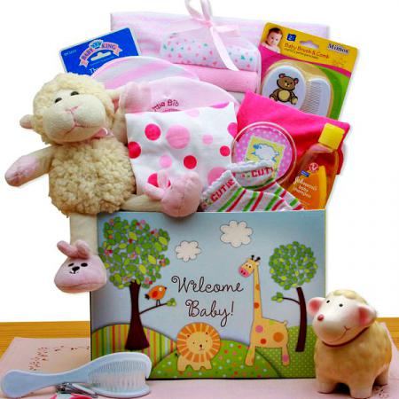 new-baby-welcome-gift