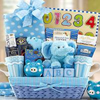 Baby-Boy-Gift-Basket-Gift.jpg