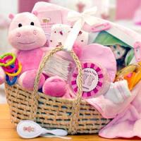 Precious Baby Girl Baby Carrier Gift Basket