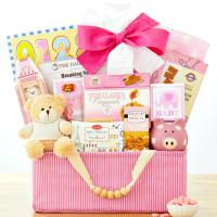 congratulations baby gift basket