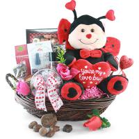 you are my love bug valentines day gift basket