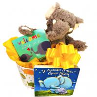 lucky baby gift basket