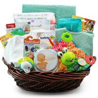 deluxe new baby gift basket
