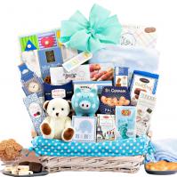 Welcome home new baby boy gift basket