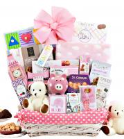 New Baby Girl Welcome Gift Basket