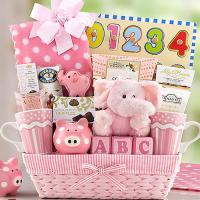 new-baby-girl-gift-basket-g.jpg