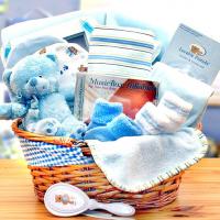 organic-baby-boy-890573Blue