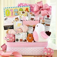 welcome-baby-girl-505